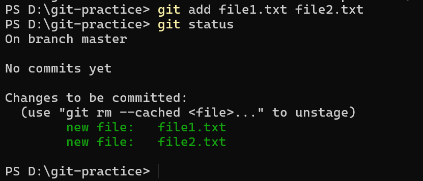 Git status showing staged files