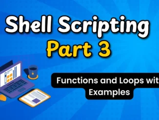 Shell Scripting Functions and Loops