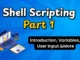 Shell Scripting in Linux for Beginners with Practical Examples