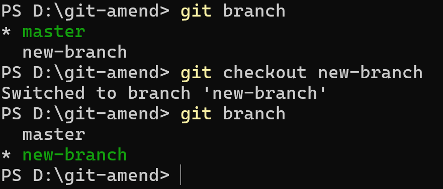 Git checkout command switching to new branch