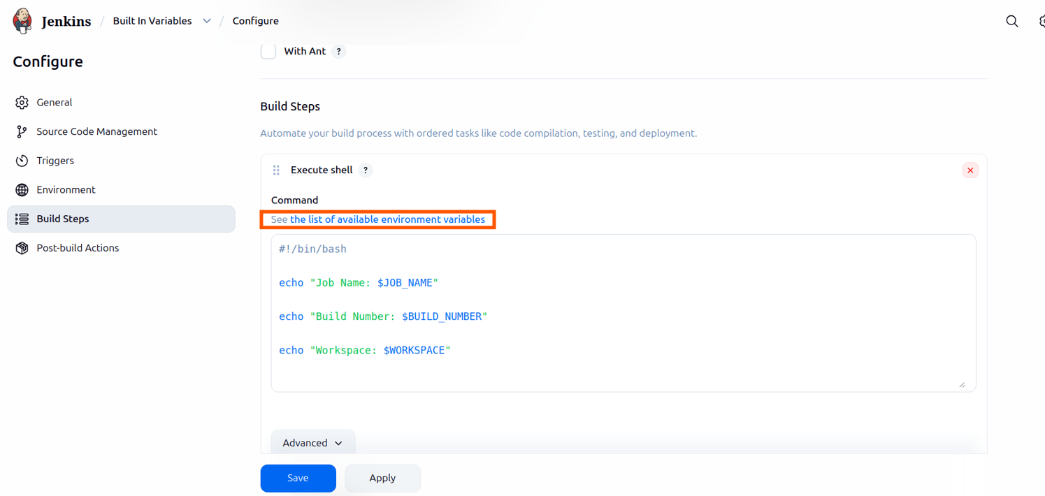 Environment Variables in Jenkins